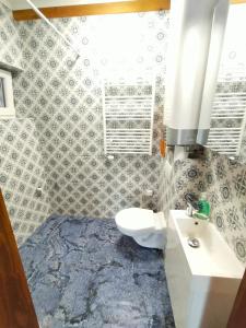 ein Badezimmer mit einem WC, einem Waschbecken und einem Spiegel in der Unterkunft Paracelsus house in Banská Bystrica