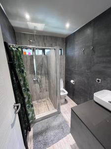 uma casa de banho com um chuveiro e um WC. em Beach side Duplex em Punaauia