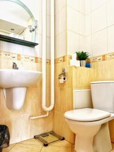 La salle de bains est pourvue de toilettes et d'un lavabo. dans l'établissement Room in Old Town Krakow, à Cracovie