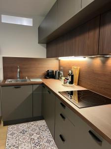 eine Küche mit einer Spüle und einer Arbeitsplatte in der Unterkunft Le K Appartement - Strasbourg in Straßburg