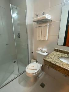 a bathroom with a toilet and a shower and a sink at Pousada do Bom Jesus in Aparecida