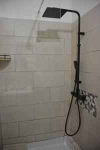 a shower with a shower head in a bathroom at Villa ELISABETH in Aix-en-Provence