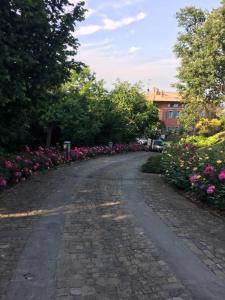 Κήπος έξω από το Tenuta Cantaia