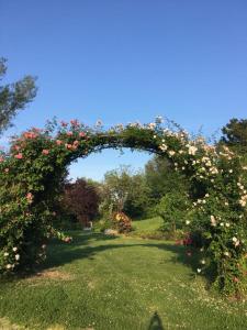 einem Bogen mit Rosen auf einem Grasfeld in der Unterkunft Tenuta Cantaia in San Lorenzo in Collina