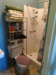 a bathroom with a toilet and a shower at R reasonable Air BNB. in Montego Bay