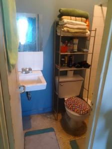 bagno con servizi igienici e lavandino di R reasonable Air BNB. a Montego Bay