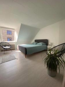 1 dormitorio con 1 cama y una maceta en Christina, en Aalborg