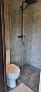 a bathroom with a toilet and a shower at Privaatne saunaga puhkemaja metsa sees 