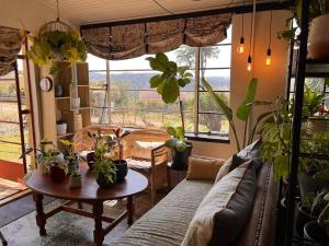 un soggiorno con divano e tavolo con piante di A Bird Cage Stay & Cottage a Haenertsburg