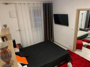 uma sala de estar com uma cama preta e um espelho em Byteček v přízemí . ( Apartment no.17 ) em Znojmo
