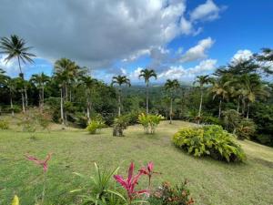 a garden with palm trees and flowers in a field at La villa Gevyrolaine in Gros-Morne