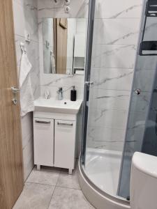 a bathroom with a shower and a sink and a toilet at Apartment and rooms Corina in Bilje