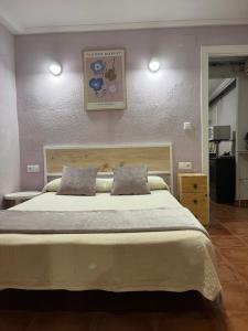 1 dormitorio con 1 cama grande y 2 almohadas en Casa Rural CANTONAL, en Valencia