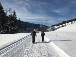 duas pessoas a andar por uma estrada coberta de neve em Apart Jasmin em Flachau