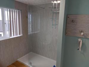 W łazience znajduje się prysznic ze szklanymi drzwiami. w obiekcie southview w mieście Portskerra