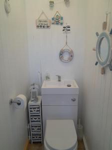 a bathroom with a toilet and a sink and a mirror at B8 lovely chalet in Mablethorpe