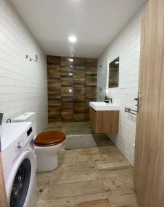 Koupelna v ubytování Apartmán pod vlekem
