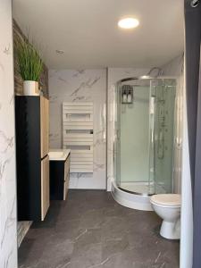 a bathroom with a shower and a toilet and a sink at Maison individuelle in Vincey