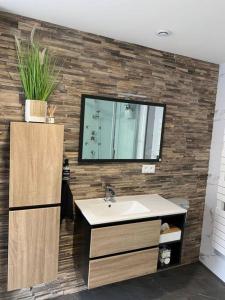 a bathroom with a sink and a mirror at Maison individuelle in Vincey