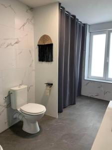 a bathroom with a toilet and a window at Maison individuelle in Vincey