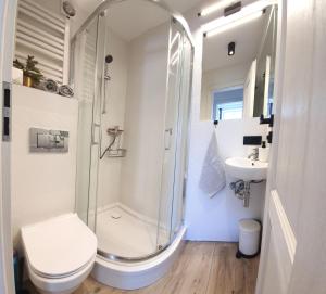 博莱斯瓦维茨Apartament Przy Starówce - Zoni的带淋浴、马桶和水槽的浴室