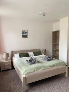 Postel nebo postele na pokoji v ubytování Apartmán pod vlekem