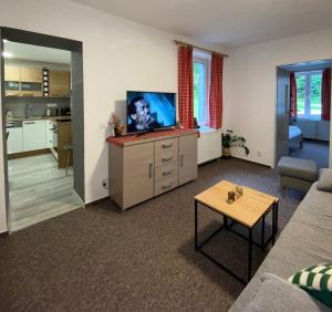 TV a/nebo společenská místnost v ubytování Apartmán pod vlekem