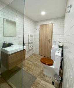 Koupelna v ubytování Apartmán pod vlekem