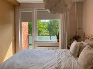 sypialnia z łóżkiem przed oknem w obiekcie Apartments in Valmiera w mieście Valmiera