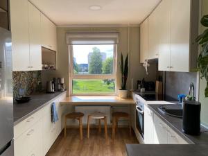 a kitchen with a counter and a window in it at Apartments in Valmiera in Valmiera