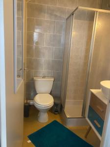 ein kleines Badezimmer mit Toilette und Dusche in der Unterkunft Confortable et agréable T1 n•1 in Ussel + 13 Fotos