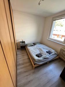 a bedroom with a bed and a window at Free Wifi - Urban Oasis Rentals in Bratislava