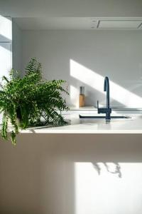 a kitchen counter with a sink and a plant at Spacious 1-bedroom duplex in Uccle! in Brussels