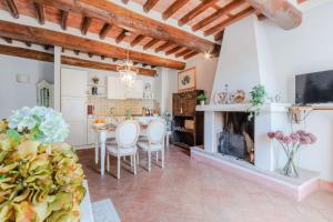 TV a/nebo společenská místnost v ubytování Elisa Farmhouse Apartment in Wine Resort in Lucca