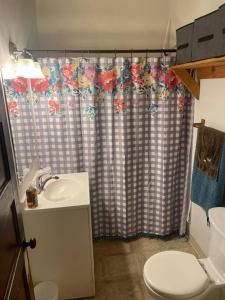 a bathroom with a toilet and a shower curtain at Bennington stay in Bennington