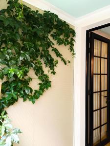 a plant on the side of a wall next to a door at DUO BOUTIQUE HOTEL in Medellín