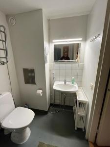 a bathroom with a white toilet and a sink at APt 37 in Rovaniemi +26 photos