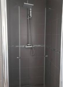 a shower with a glass door with a shower head at Convenient Studio Apt Near Airport, Beaches & Food in Cupecoy
