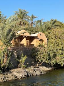 Ayujidda Nubian House في أسوان: منزل على جانب النهر مع أشجار النخيل