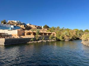 mit Blick auf einen Fluss mit Häusern und Palmen in der Unterkunft Ayujidda Nubian House in Assuan