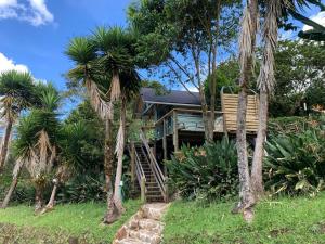 une maison avec des palmiers devant elle dans l'établissement Rancheria Loft Chalet, lago privado, à Rionegro