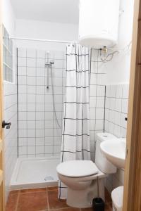 ein Bad mit einer Dusche, einem WC und einem Waschbecken in der Unterkunft Casa Veronica 5 , 1 Dormitorio in Arona