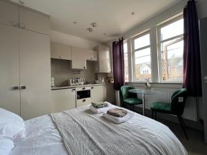 Kuchyň nebo kuchyňský kout v ubytování C41-Cozy studio flat in Finchley Central