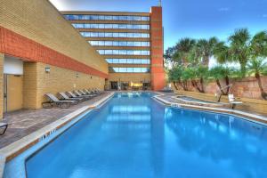 a large swimming pool in front of a building at Hilton Orlando/Altamonte Springs in Orlando