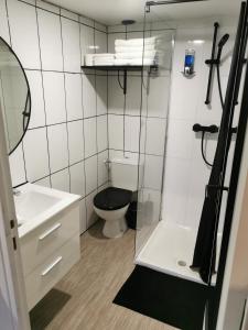 ein Badezimmer mit Toilette und Glasdusche in der Unterkunft Studio mezzanine Lyon in Villeurbanne + 8 Fotos