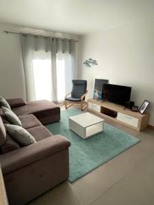 a living room with a couch and a tv at GARDEN & BEACH HOUSE in Figueira da Foz