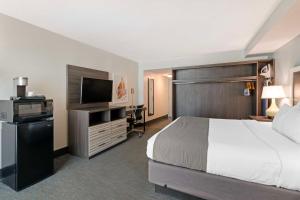 um quarto de hotel com uma cama e uma televisão de ecrã plano em Best Western Plus Daytona Inn Seabreeze em Daytona Beach
