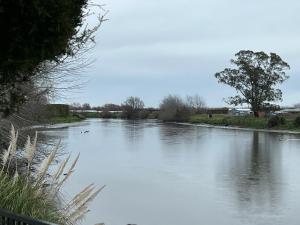 a body of water with birds in it at Riverside Bliss in Clive