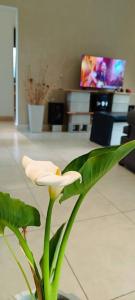 una planta verde con una flor blanca en la sala de estar en Quinta Parque Sakura Exaltación de la cruz en Pavón