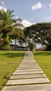 un chemin en pierre dans un parc planté de palmiers dans l'établissement Rancho Eden, à Armenia